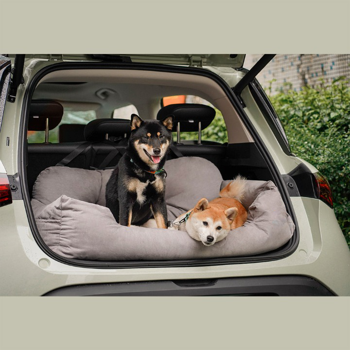 Luksus rejseseng til hunde - PawsRest