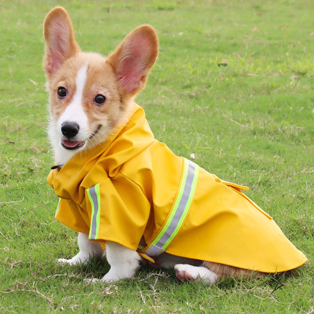 Vandtæt hundejakke - StormPaw