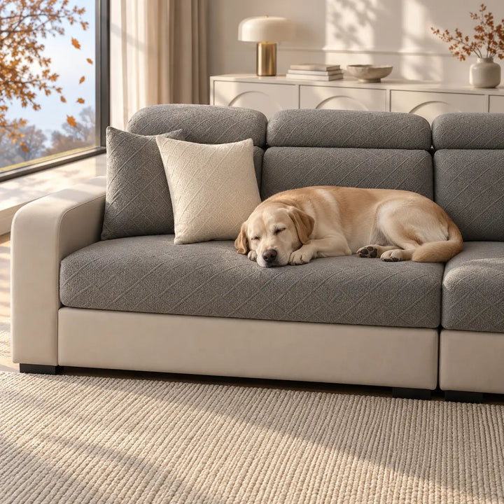 Grå sofaovertræk på sofa med to puder og en labrador, der sover i sollys 8