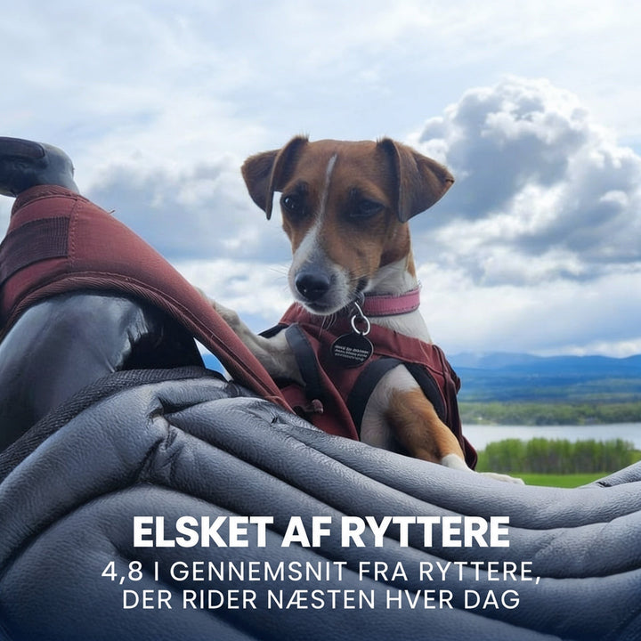 Lille hund med rødbrun vest kigger frem bag et gråt polstret sædehynde på sadlen 7