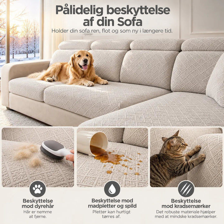 Beige sofaovertræk med hund, hårbørste, spildt drik og kat, der klør, som viser beskyttelse 5